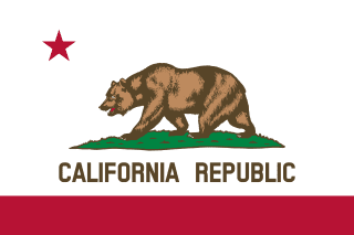 California Pellet Gun Hunting Law: What You Need To Know
